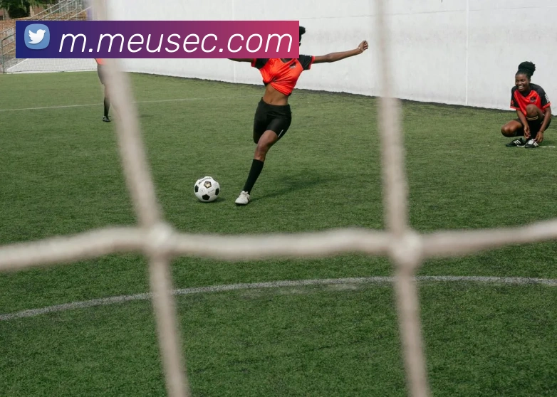 数据分析功能